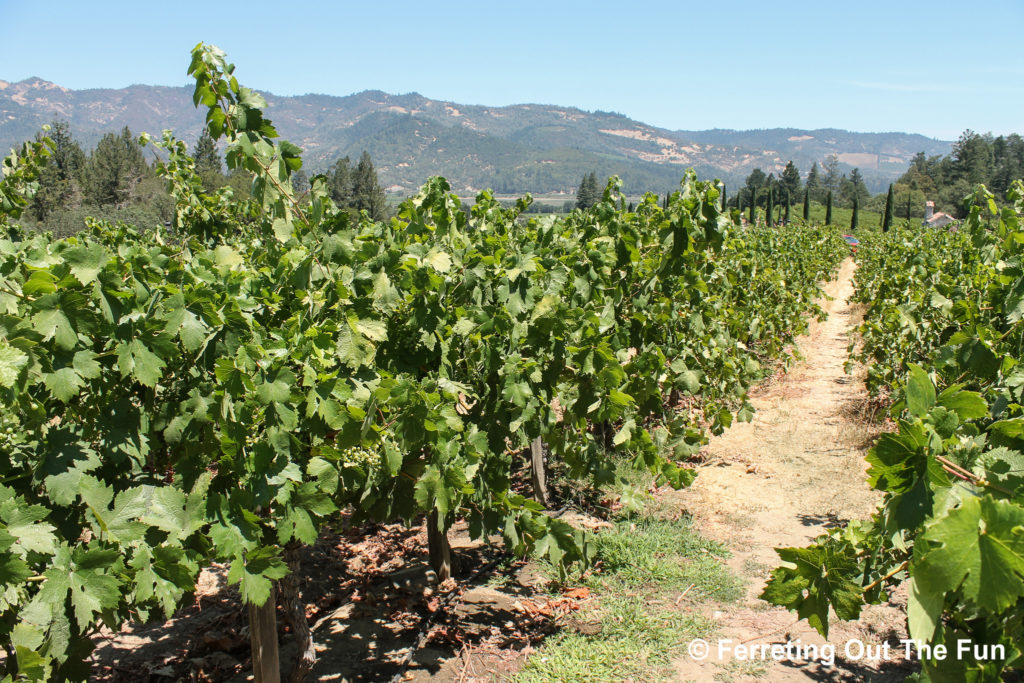 napa valley winery