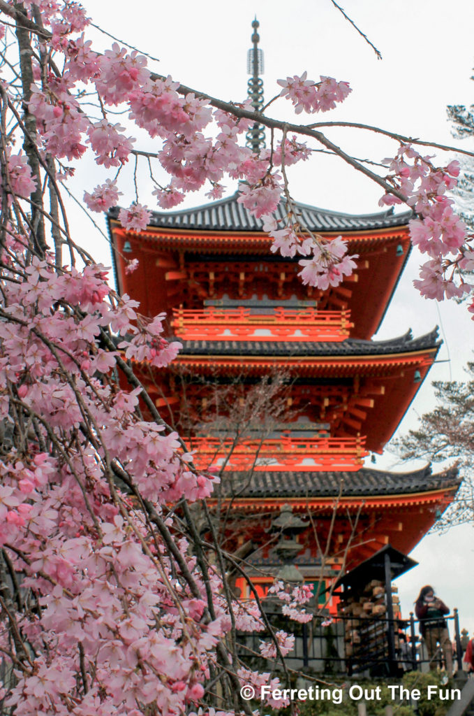 Cherry blossoms frame the pagoda of Kiyomizu-dera temple in Kyoto, Japan