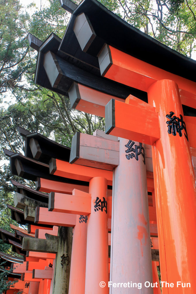 Fushimi Inari torii gates in Kyoto, Japan