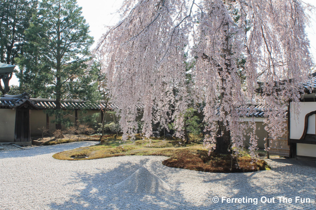 kodai-ji rock garden kyoto