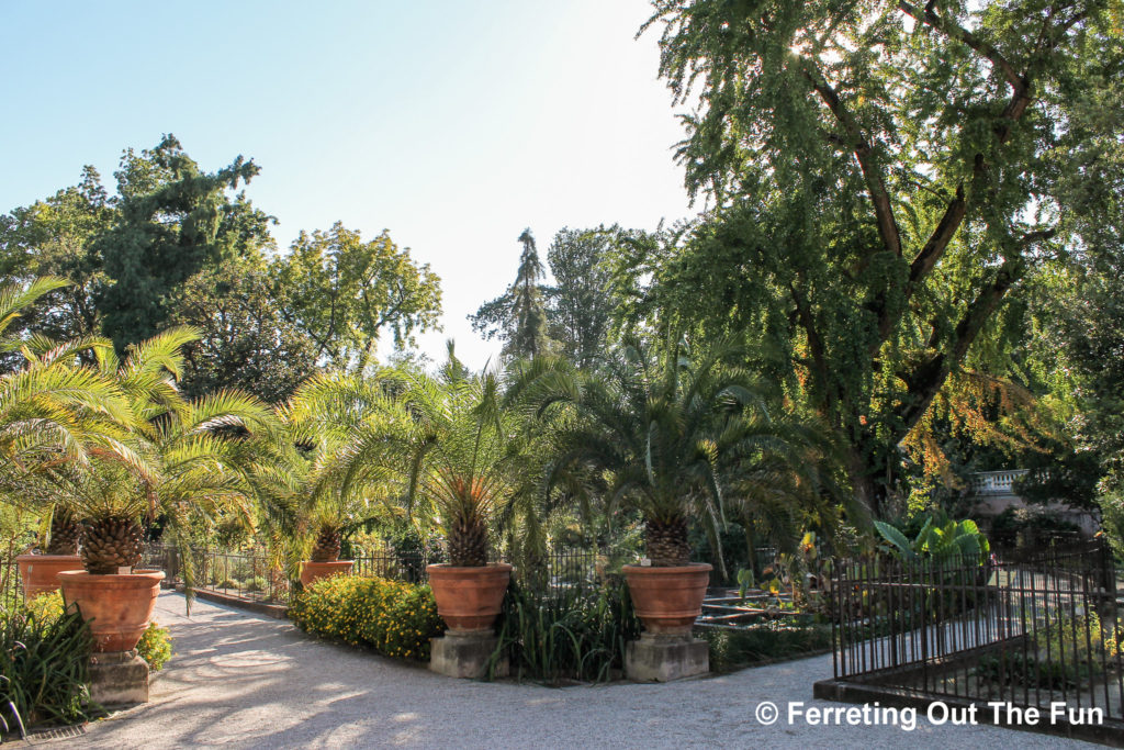 padua botanical garden