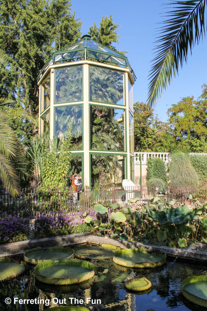 The Padua Botanical Garden is the oldest in the world. The palm tree enclosed in the glass greenhouse was planted in 1585!