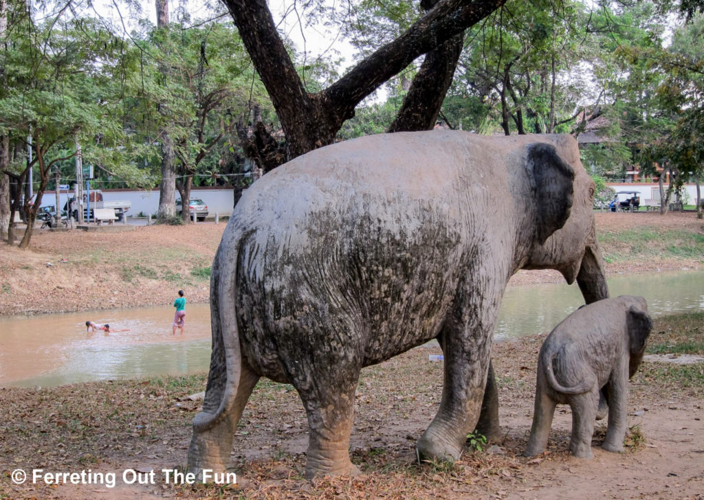 siem reap river elephants