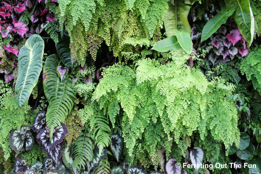 Cloud Forest Gardens by the Bay