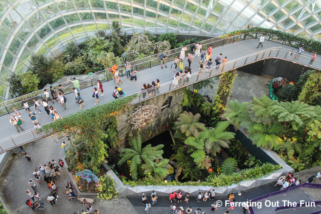 Cloud Forest Gardens by the Bay