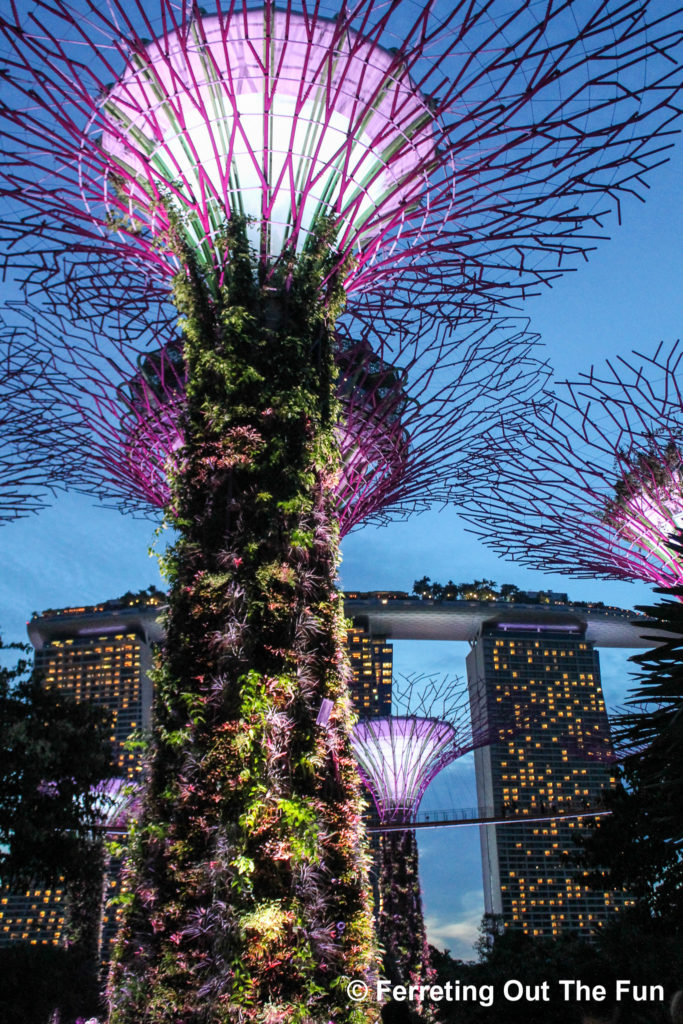 The incredible Supertree Grove at the Gardens by the Bay in Singapore
