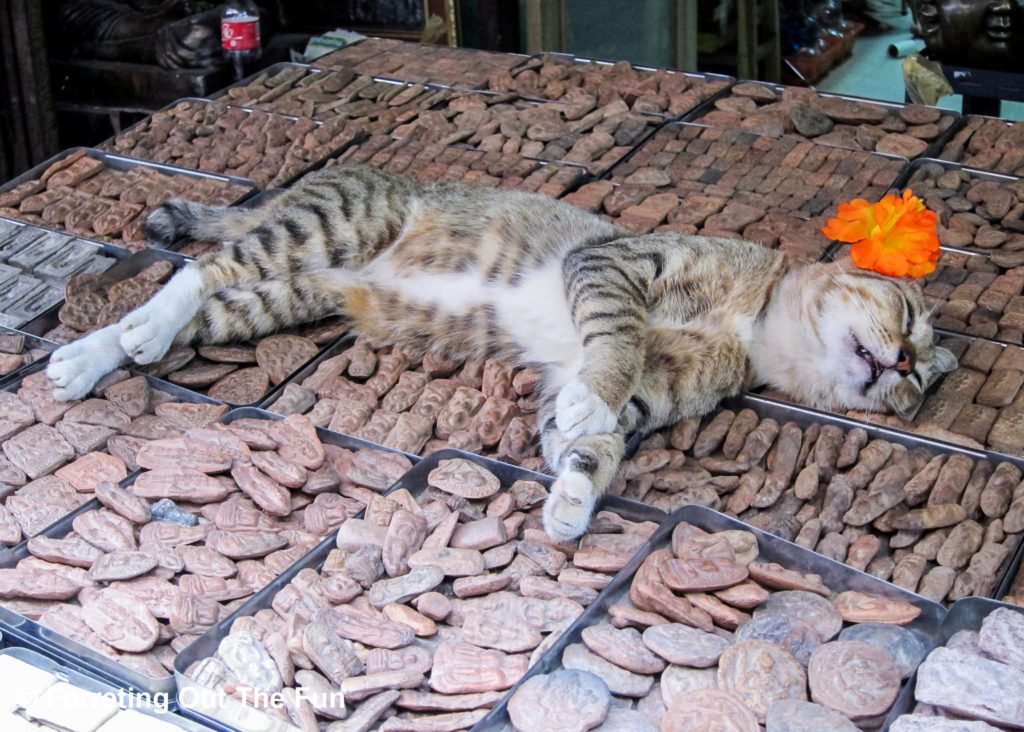 Bangkok amulet market