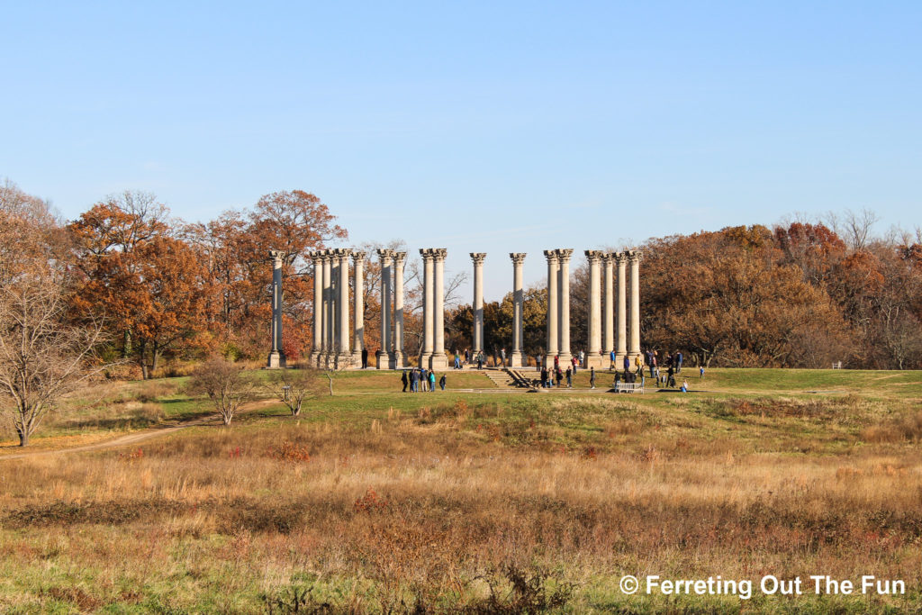 National Arboretum columns