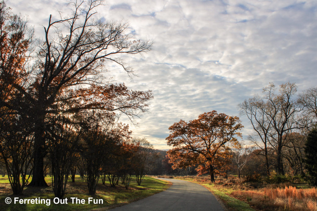 National Arboretum DC fall