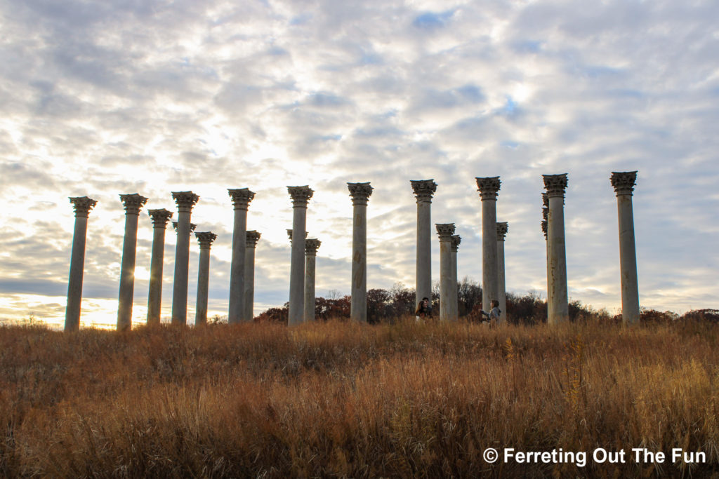 National Arboretum columns