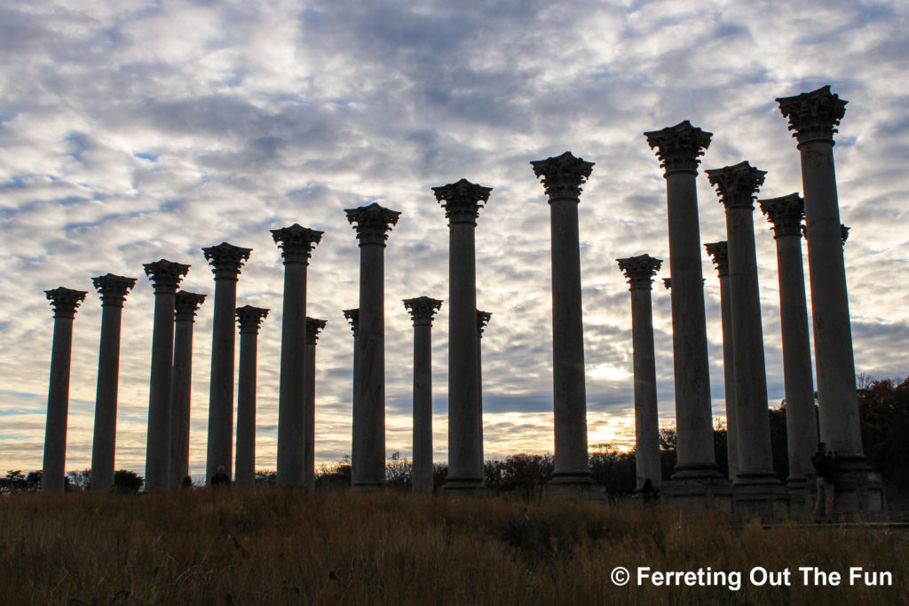 National Arboretum Capital Columns