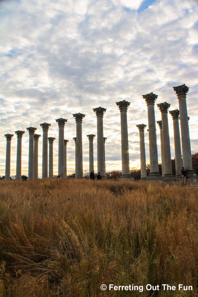 A golden autumn sunset peeks through the Capital Columns at the National Arboretum in Washington DC