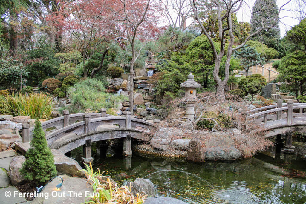 Hillwood Estate Japanese garden