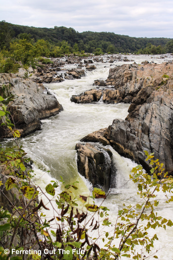 The Potomac River plunges through rapids and waterfalls at Great Falls National Park in Virginia