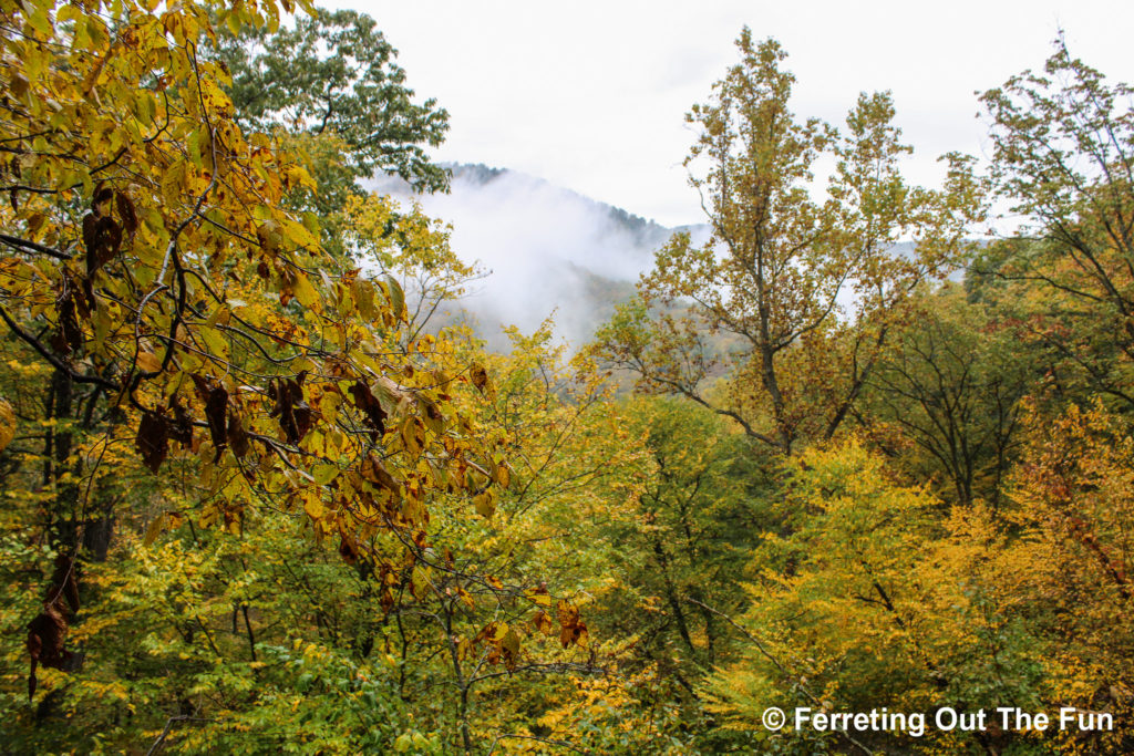 Autumn in the Blue Ridge Mountains VA