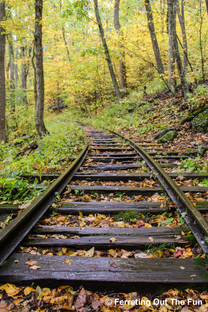 Yankee Horse Ridge Trailhead is a restored logging railroad in the Blue Ridge Mountains in VA. It is a nice autumn stop on the Blue Ridge Parkway.