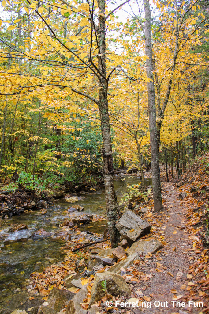 An autumn hike through Saint Mary's Wilderness in the Blue Ridge Mountains VA