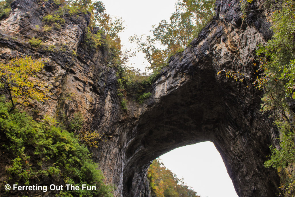 Natural Bridge State Park VA