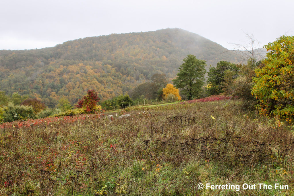 Blue Ridge Mountains VA