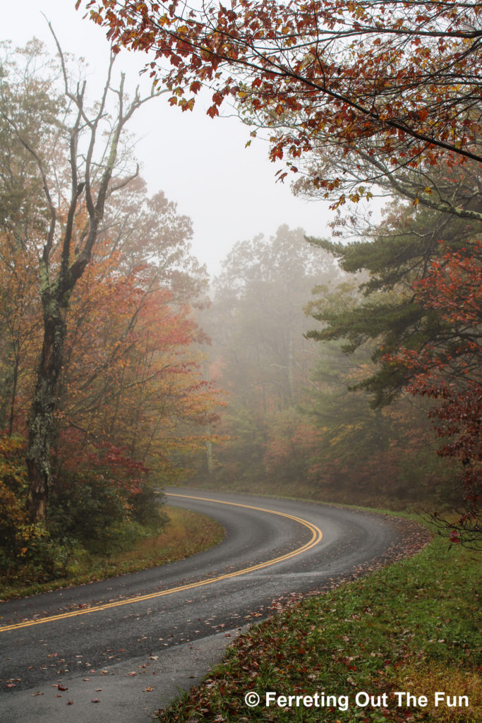 Autumn foliage shines through the fog on the Blue Ridge Parkway in Virginia