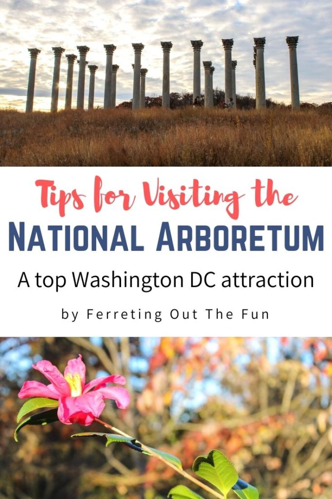 Tips for visiting the National Arboretum in Washington DC