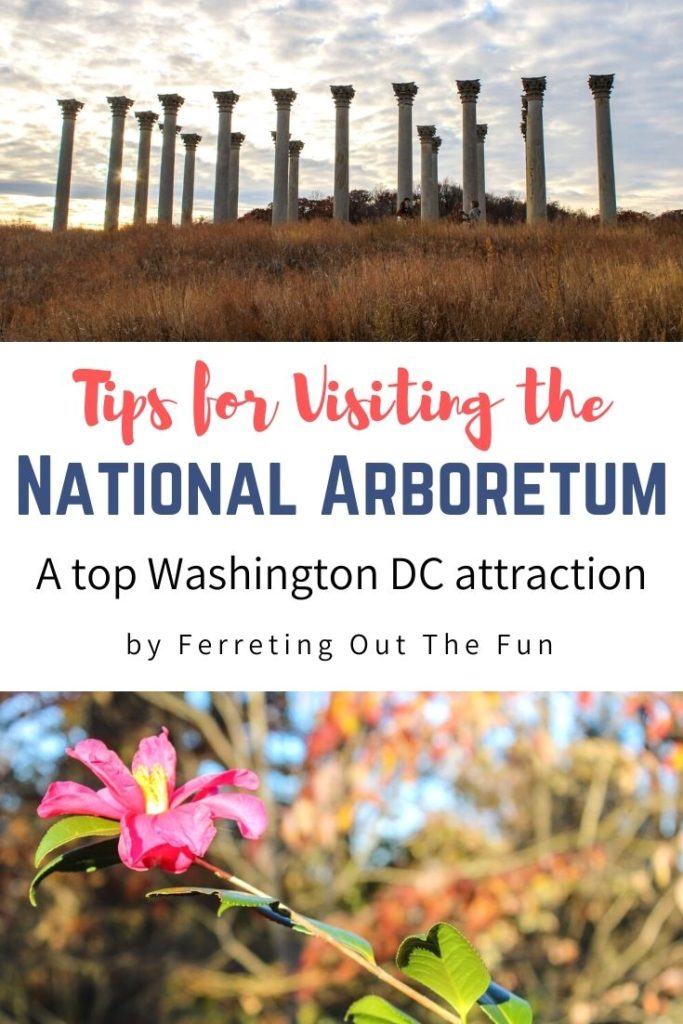 Tips for visiting the National Arboretum in Washington DC