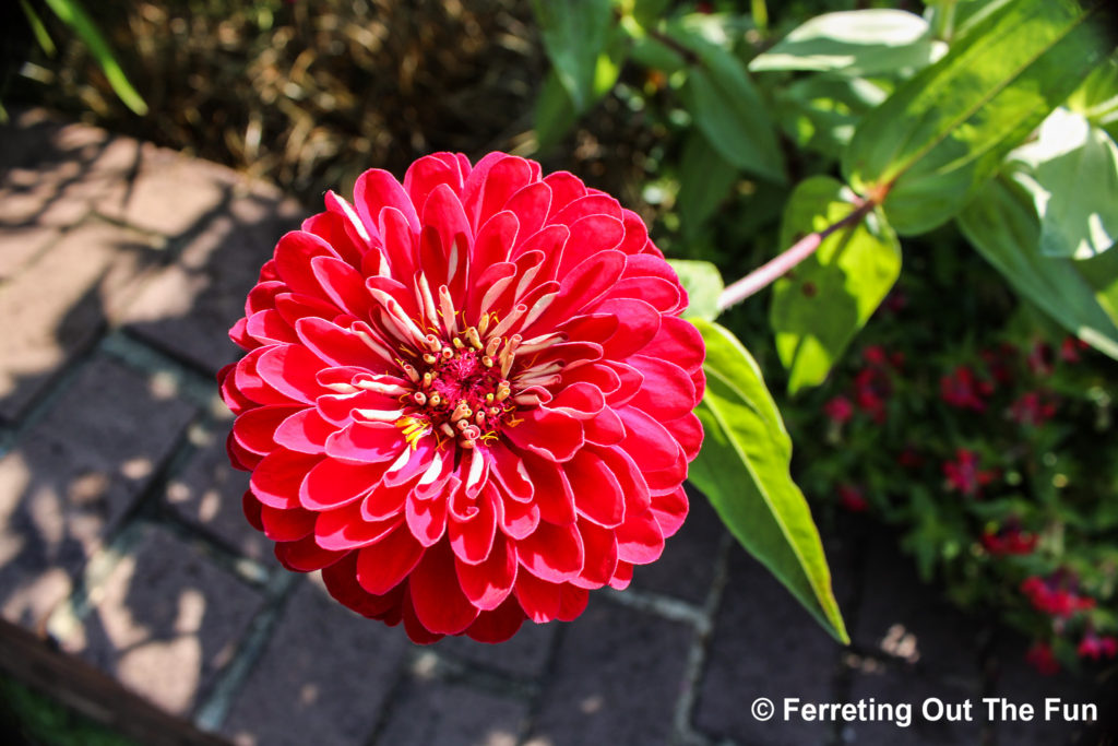 Brookside Gardens MD