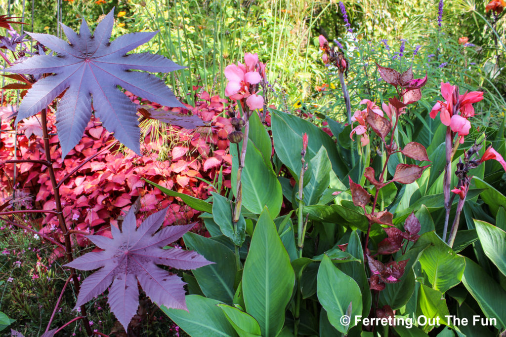 Brookside Gardens MD