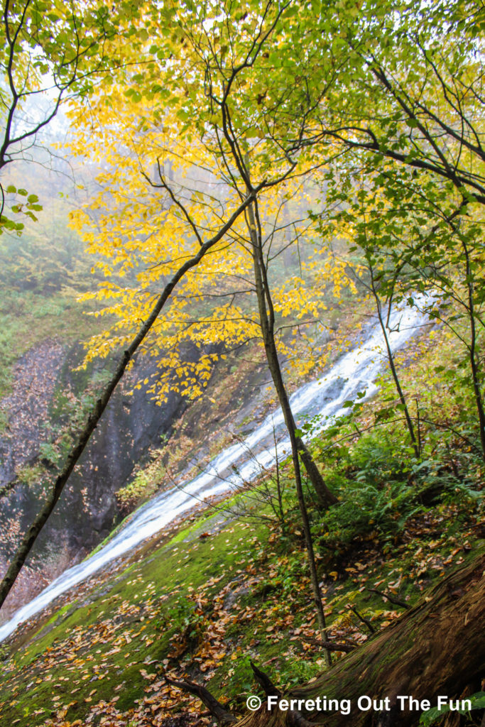 Autumn foliage and fog at Crabtree Falls in Virginia