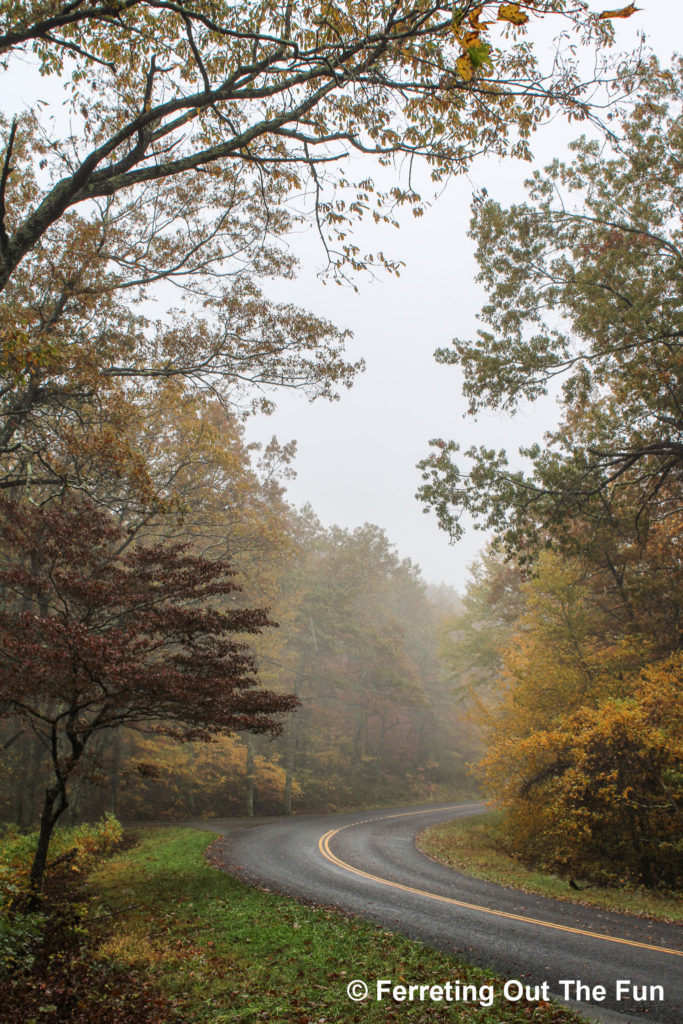 A foggy autumn drive on the Blue Ridge Parkway in Virginia