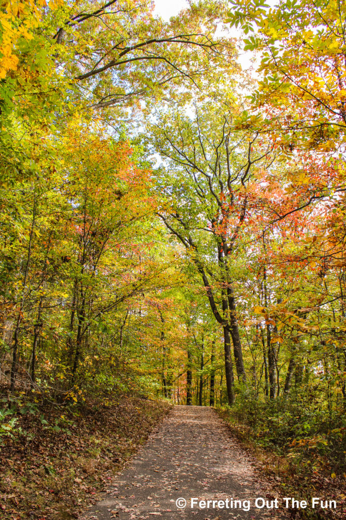 An Autumn hike through the Black Hill Regional Park near Washington DC