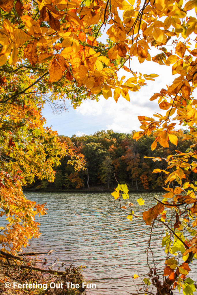 Autumn foliage frames a lake at the Black Hill Regional Park in Maryland