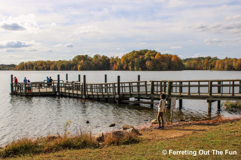 Black Hill Regional Park MD