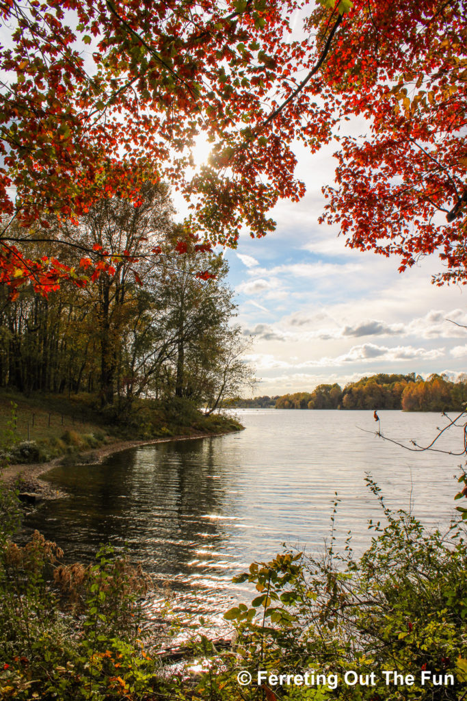 Autumn shines at Little Seneca Lake in Maryland