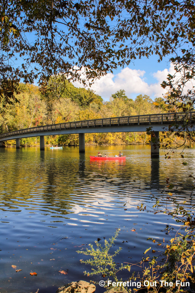 A glorious Autumn day on the Potomac River, near Theodore Roosevelt Island in Washington DC