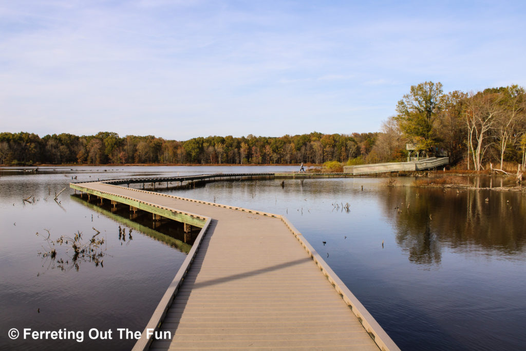 Huntley Meadows Park VA