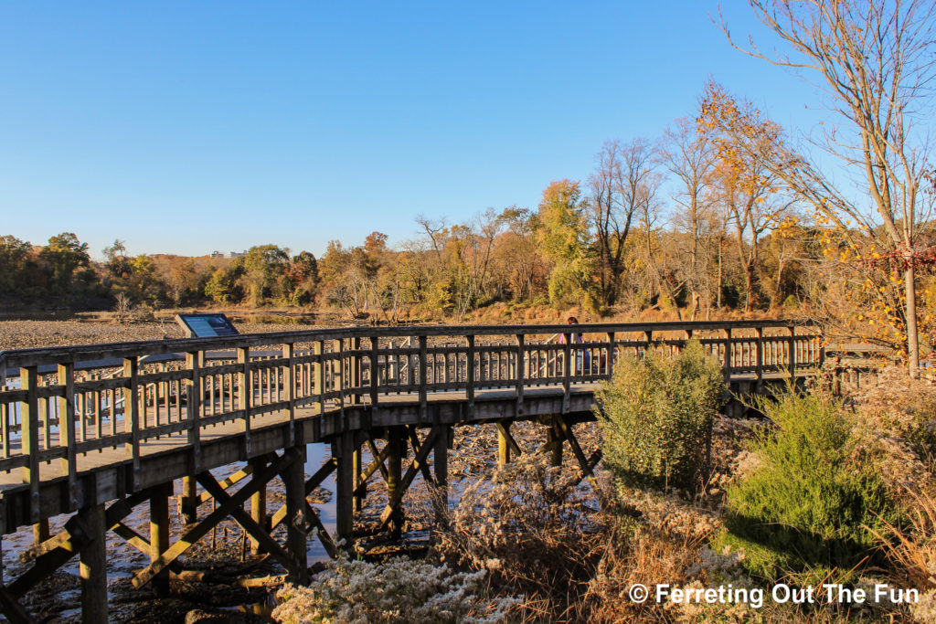 Kenilworth Aquatic Gardens Washington DC