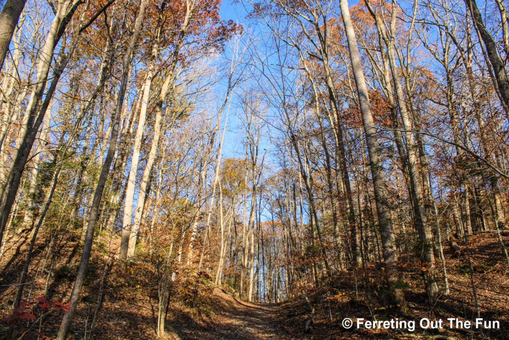 Scott's Run Nature Preserve VA