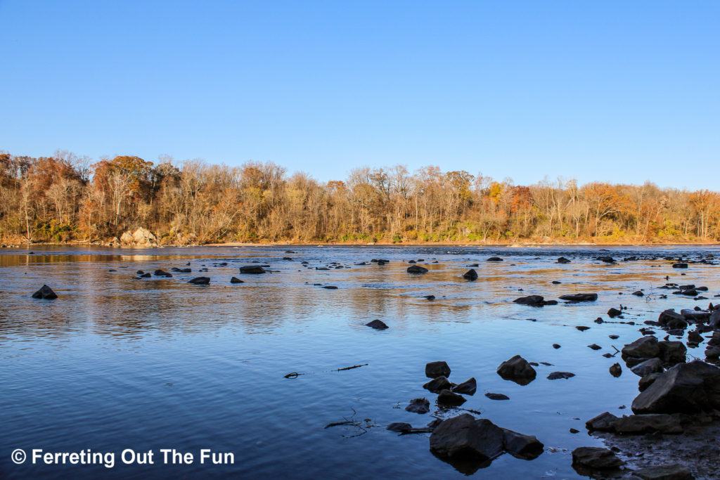An autumn walk along the Potomac River