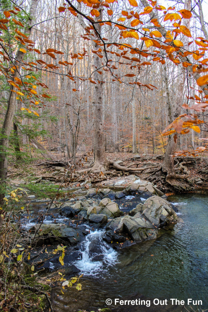 Autumn foliage frames a small waterfall at the Scott's Run Nature Preserve in Virginia