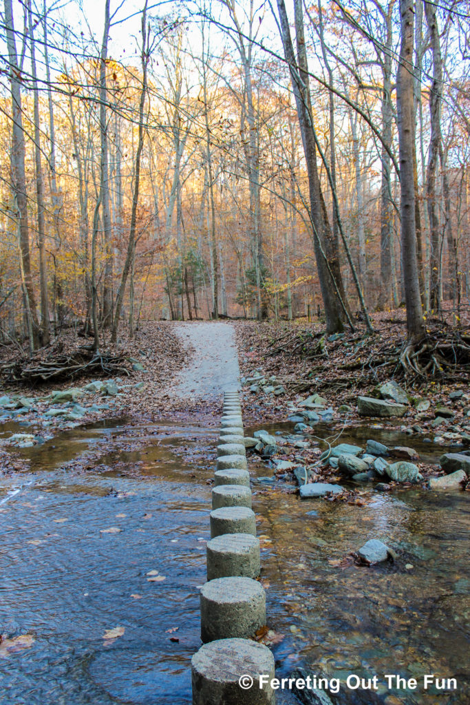 An autumn hike through Scott's Run Nature Preserve in Virginia