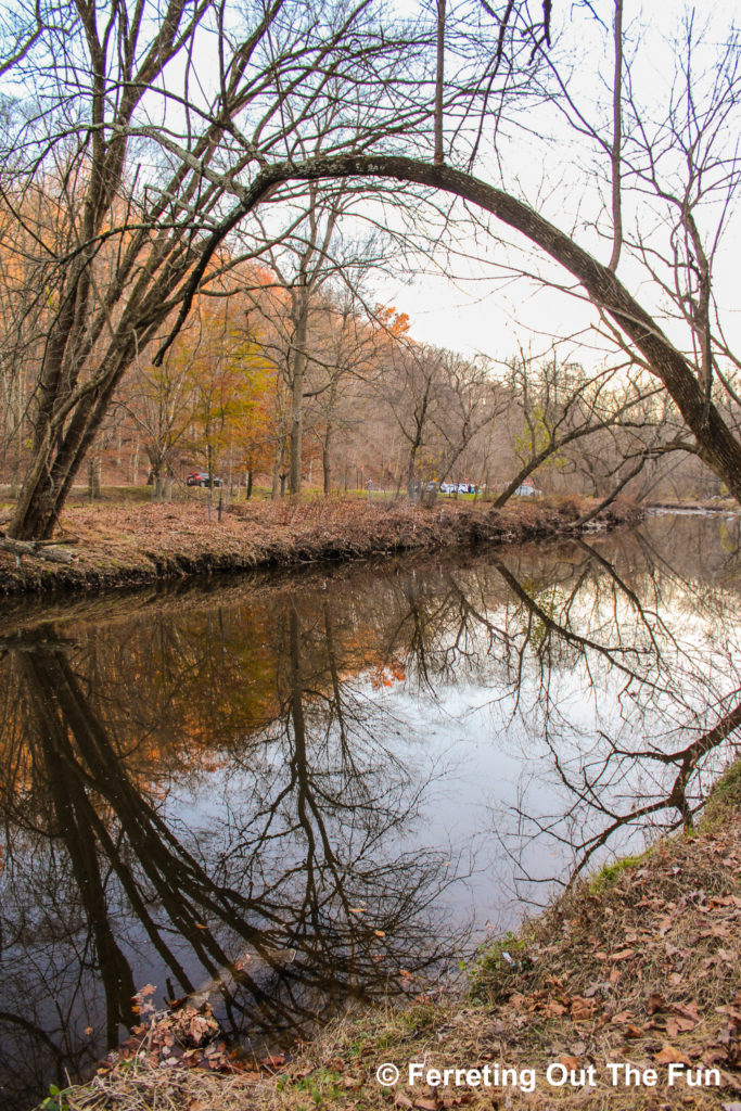 An autumn walk through Rock Creek Park in Washington DC