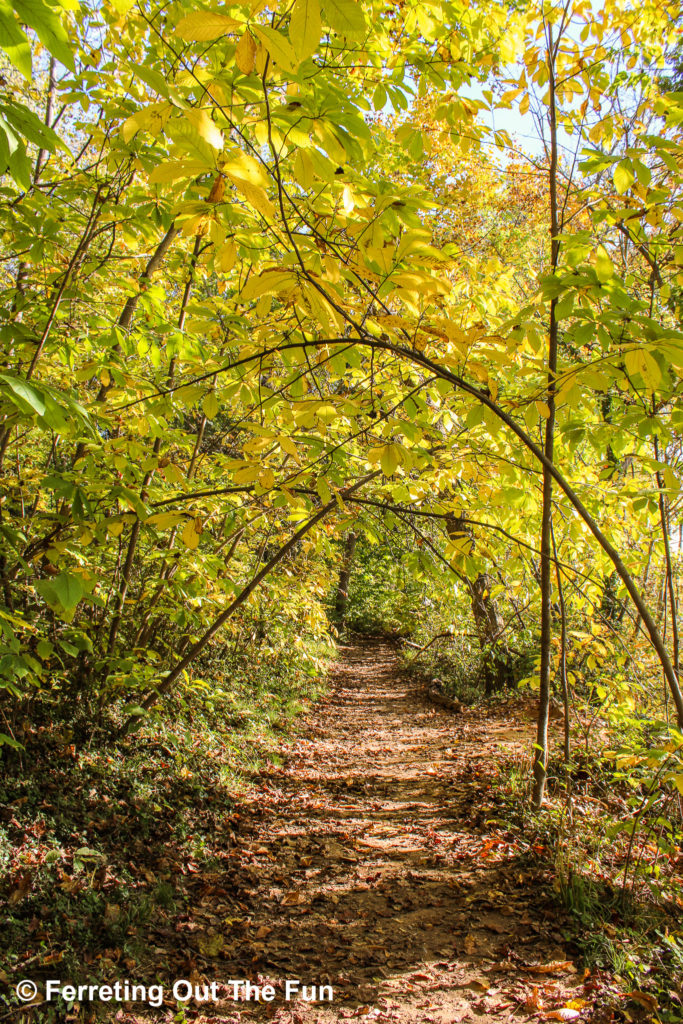 An autumn walk on Teddy Roosevelt Memorial Island in Washington DC