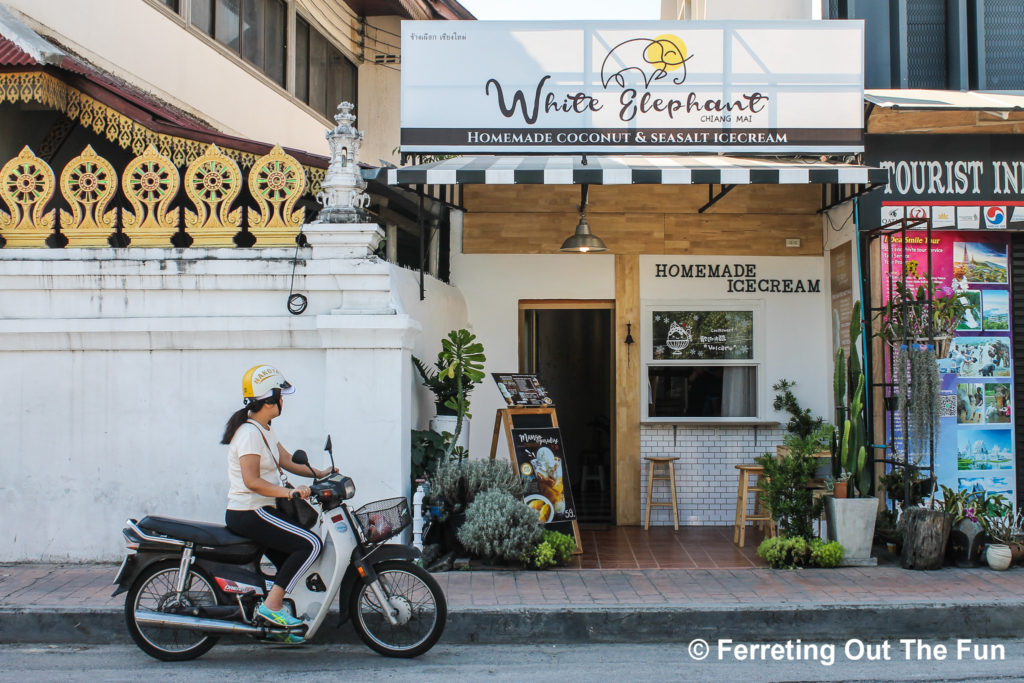 White Elephant Ice Cream Chiang Mai