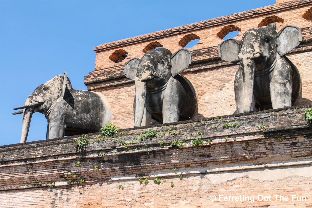 Wat Chedi Luang elephants