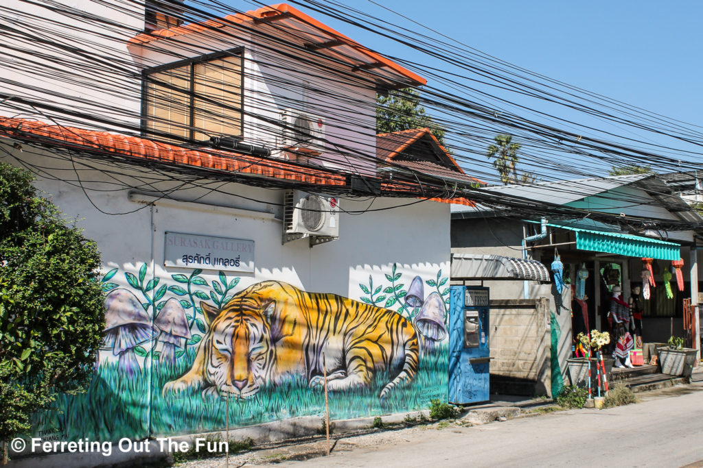Chiang Mai street art tiger mural