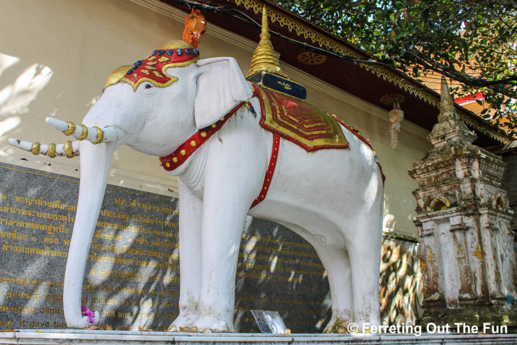 Wat Doi Suthep white elephant