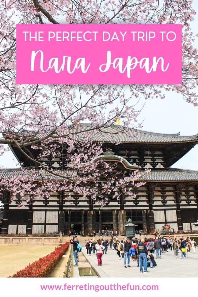 Things to do on a Nara day trip from Kyoto - a must-see destination in Japan!