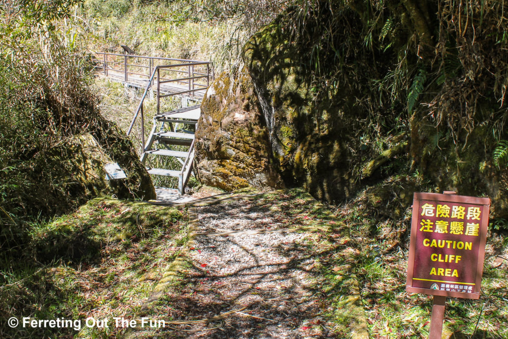 Tashan Trail Alishan