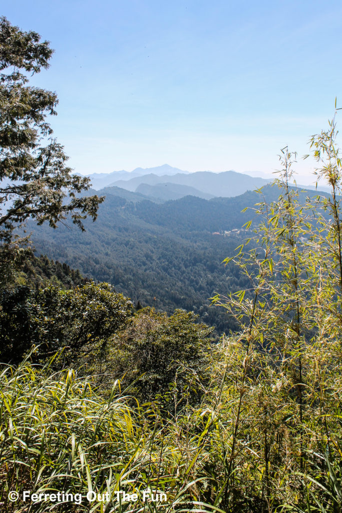 View of the Alishan National Scenic Area from the top of the Tashan Trail, with several mountain peaks in the distance. This is a popular region for hiking in Taiwan. 